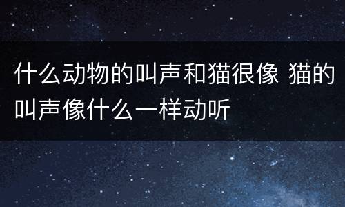 什么动物的叫声和猫很像 猫的叫声像什么一样动听