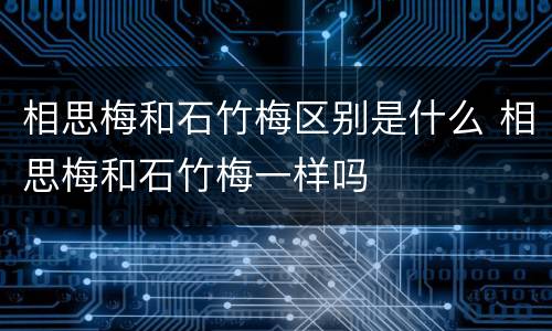 相思梅和石竹梅区别是什么 相思梅和石竹梅一样吗