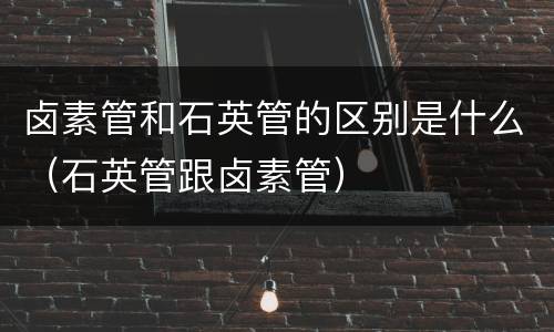 卤素管和石英管的区别是什么（石英管跟卤素管）