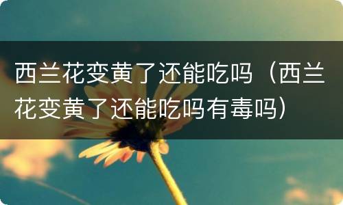 西兰花变黄了还能吃吗（西兰花变黄了还能吃吗有毒吗）