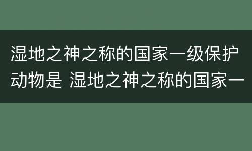 湿地之神之称的国家一级保护动物是 湿地之神之称的国家一级保护动物是