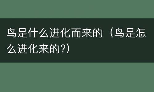 鸟是什么进化而来的（鸟是怎么进化来的?）