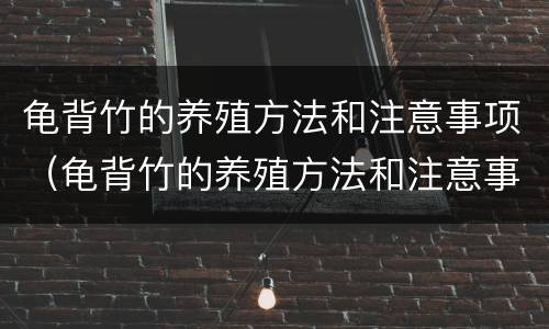 龟背竹的养殖方法和注意事项（龟背竹的养殖方法和注意事项视频）