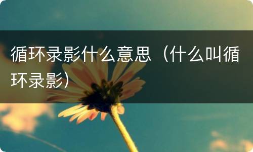 循环录影什么意思(什么叫循环录影)