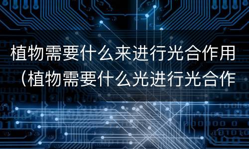 植物需要什么来进行光合作用（植物需要什么光进行光合作用）
