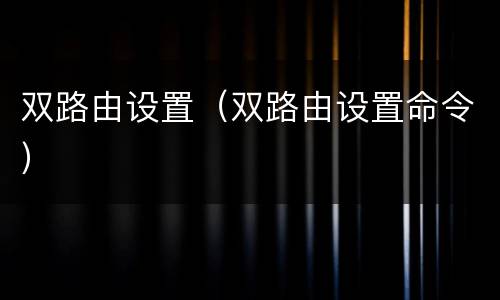 双路由设置（双路由设置命令）