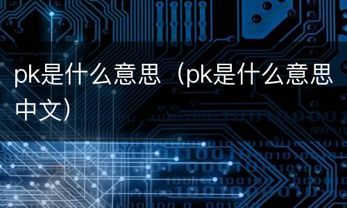 pk是什么意思（pk是什么意思中文）