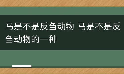马是不是反刍动物 马是不是反刍动物的一种