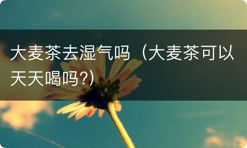 大麦茶去湿气吗（大麦茶可以天天喝吗?）