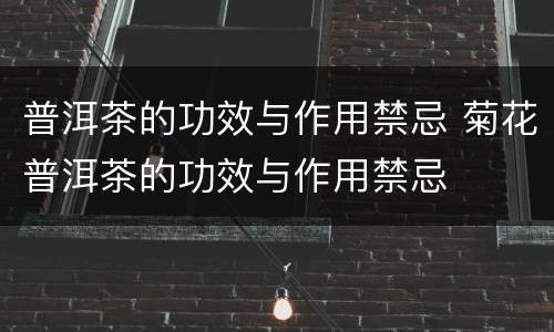 普洱茶的功效与作用禁忌 菊花普洱茶的功效与作用禁忌