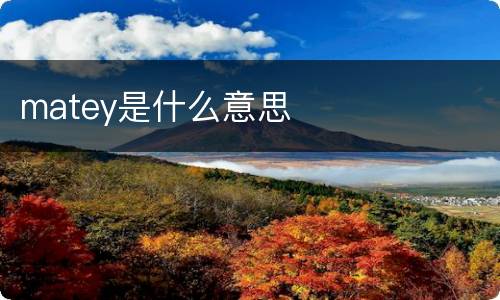 matey是什么意思