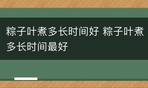 粽子叶煮多长时间好 粽子叶煮多长时间最好