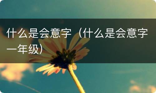 什么是会意字（什么是会意字一年级）