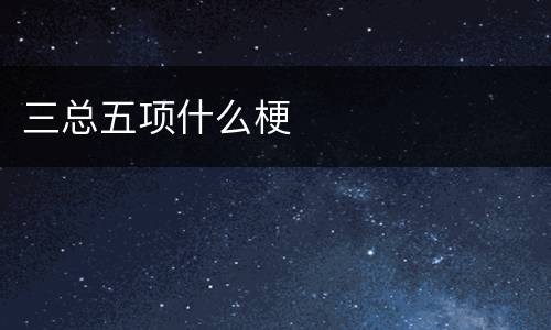 三总五项什么梗