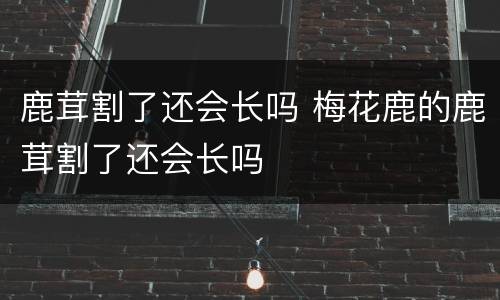 鹿茸割了还会长吗 梅花鹿的鹿茸割了还会长吗