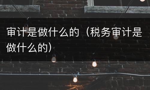 审计是做什么的（税务审计是做什么的）