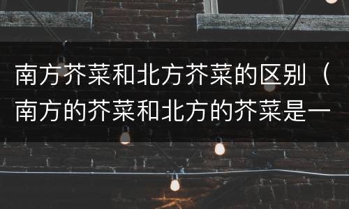 南方芥菜和北方芥菜的区别（南方的芥菜和北方的芥菜是一种东西吗）