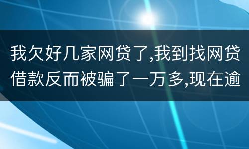 我欠好几家网贷了,我到找网贷借款反而被骗了一万多,现在逾期了好几家了,我给怎么办