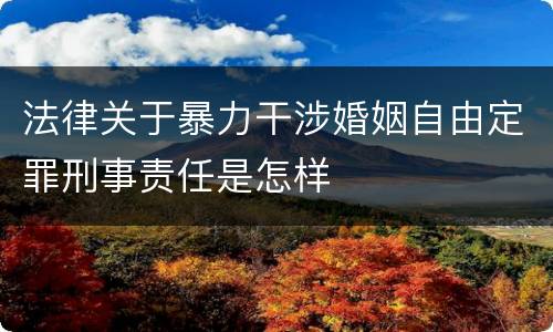 法律关于暴力干涉婚姻自由定罪刑事责任是怎样