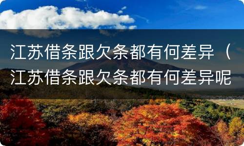 江苏借条跟欠条都有何差异（江苏借条跟欠条都有何差异呢）
