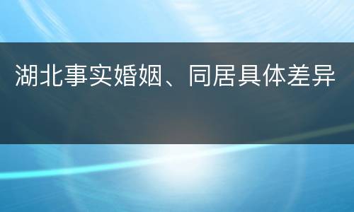 湖北事实婚姻、同居具体差异