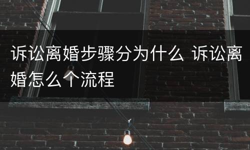 诉讼离婚步骤分为什么 诉讼离婚怎么个流程