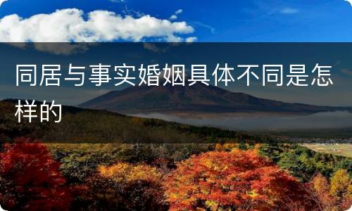 同居与事实婚姻具体不同是怎样的