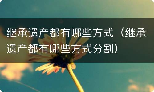继承遗产都有哪些方式（继承遗产都有哪些方式分割）