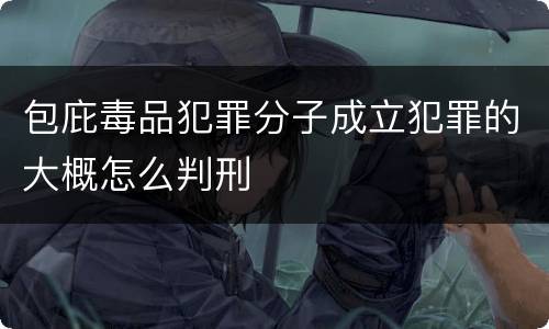 包庇毒品犯罪分子成立犯罪的大概怎么判刑