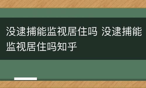 没逮捕能监视居住吗 没逮捕能监视居住吗知乎