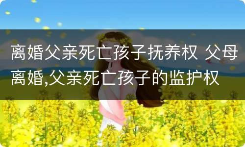 离婚父亲死亡孩子抚养权 父母离婚,父亲死亡孩子的监护权