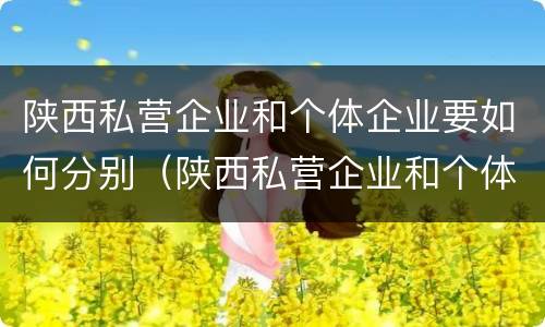 陕西私营企业和个体企业要如何分别（陕西私营企业和个体企业要如何分别交税）
