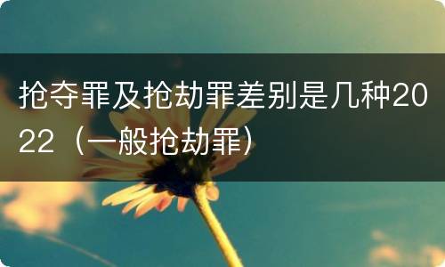 抢夺罪及抢劫罪差别是几种2022（一般抢劫罪）