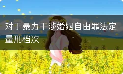 对于暴力干涉婚姻自由罪法定量刑档次