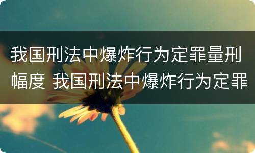 我国刑法中爆炸行为定罪量刑幅度 我国刑法中爆炸行为定罪量刑幅度最高的是