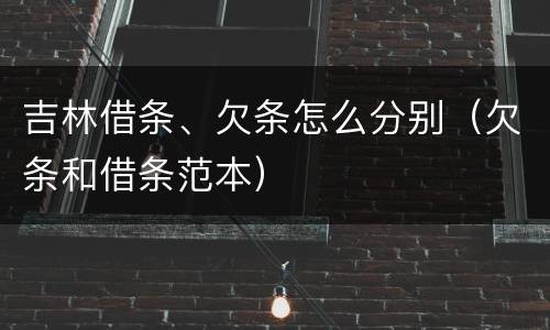 吉林借条、欠条怎么分别（欠条和借条范本）
