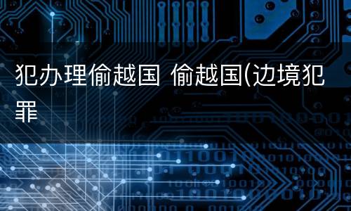犯办理偷越国 偷越国(边境犯罪
