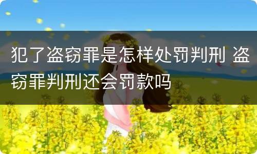 犯了盗窃罪是怎样处罚判刑 盗窃罪判刑还会罚款吗