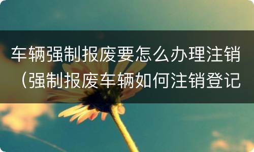 车辆强制报废要怎么办理注销（强制报废车辆如何注销登记）