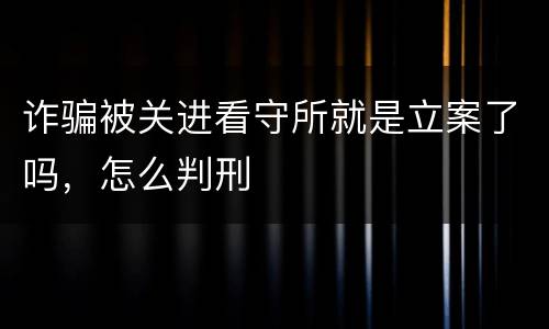 诈骗被关进看守所就是立案了吗，怎么判刑