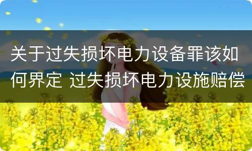 关于过失损坏电力设备罪该如何界定 过失损坏电力设施赔偿标准