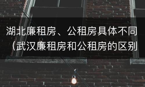 湖北廉租房、公租房具体不同（武汉廉租房和公租房的区别）
