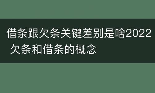 借条跟欠条关键差别是啥2022 欠条和借条的概念