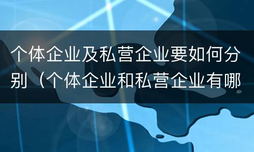 个体企业及私营企业要如何分别（个体企业和私营企业有哪些）