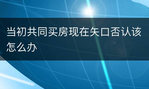 当初共同买房现在矢口否认该怎么办