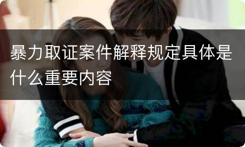 暴力取证案件解释规定具体是什么重要内容