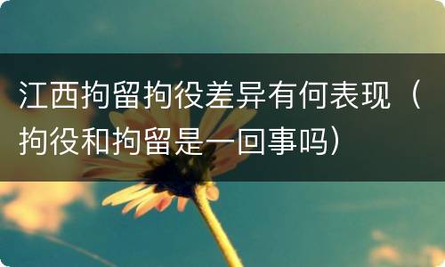 江西拘留拘役差异有何表现（拘役和拘留是一回事吗）