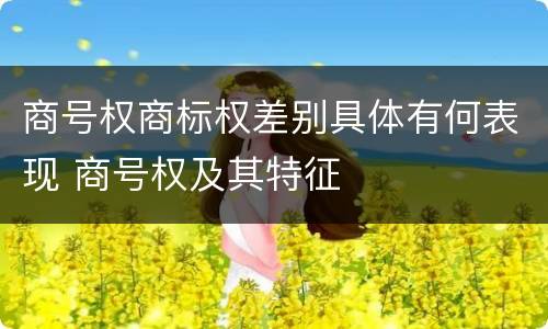 商号权商标权差别具体有何表现 商号权及其特征