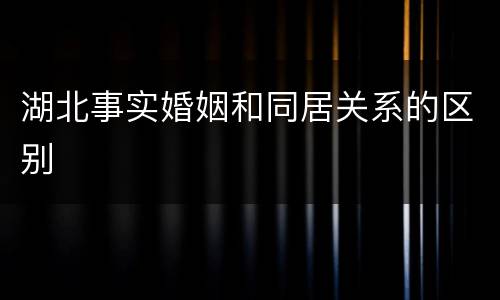 湖北事实婚姻和同居关系的区别