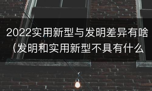 2022实用新型与发明差异有啥（发明和实用新型不具有什么特性）